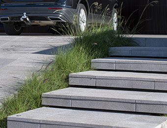 Tudo o que você precisa saber sobre Fulget Cetim